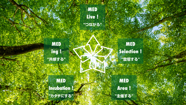 MEDの森の５つの道